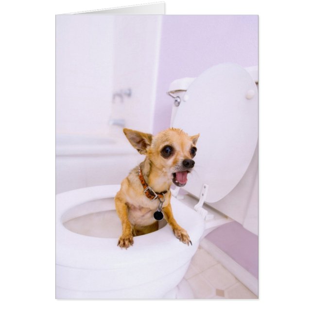 Taza del inodoro (el agua fue drenada hacia fuera) (Frente)