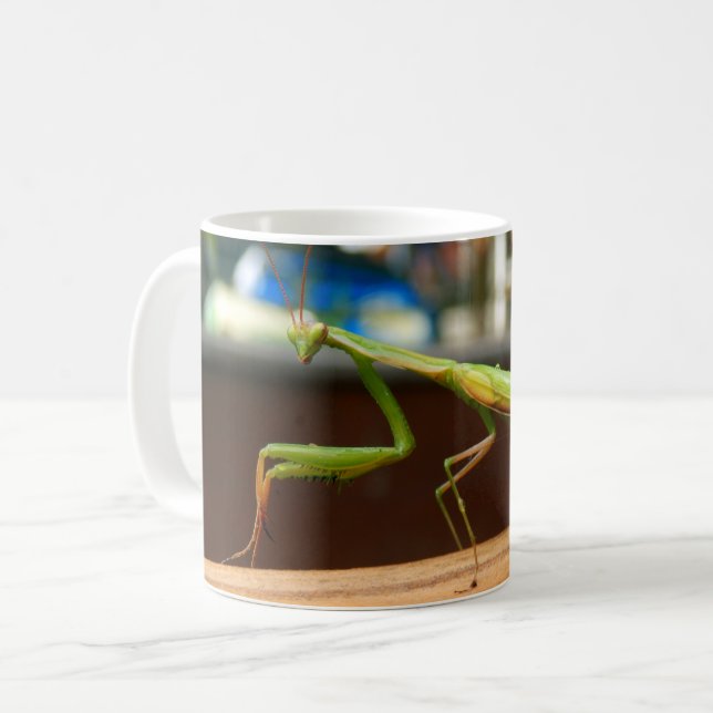 Taza del insecto de la mantis religiosa (Anverso izquierdo)