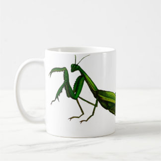 Taza del insecto, verde de la mantis religiosa
