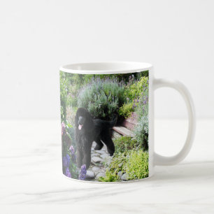 Taza del jardín del caniche