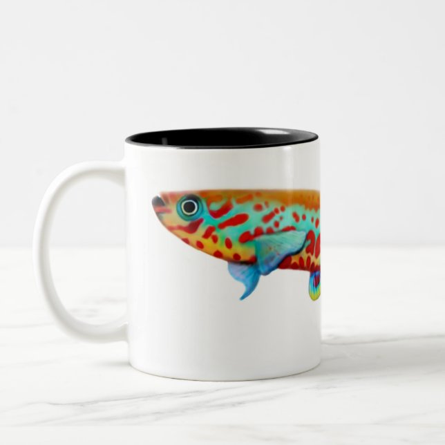 Taza del Killifish de Fundulopanchax Gardneri (Izquierda)