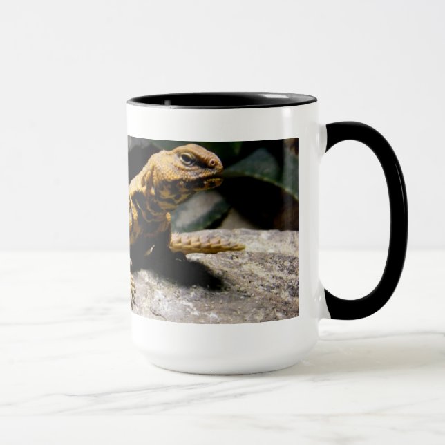 Taza del lagarto (Derecha)