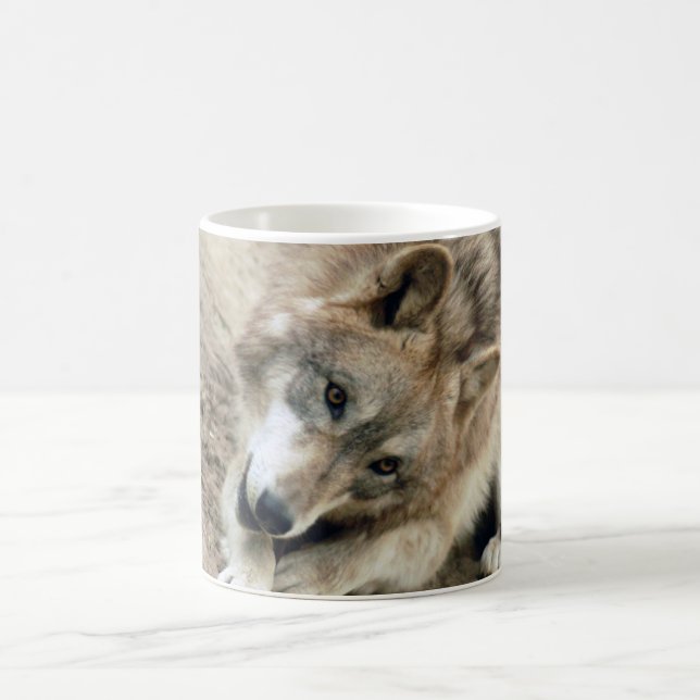 Taza del lobo de los lobos (Centro)