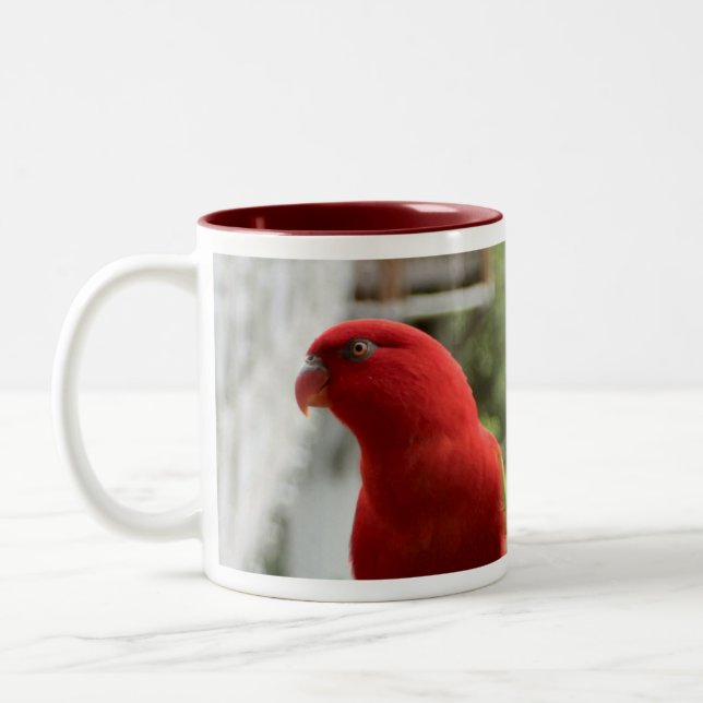 Taza del Lory (Izquierda)