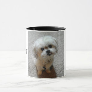 Taza del Malshi Oso