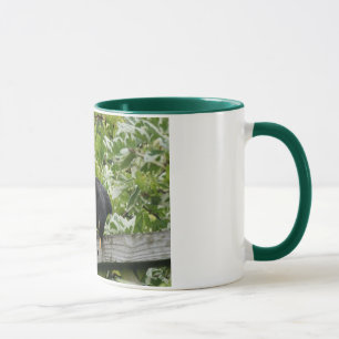 Taza del mirlo