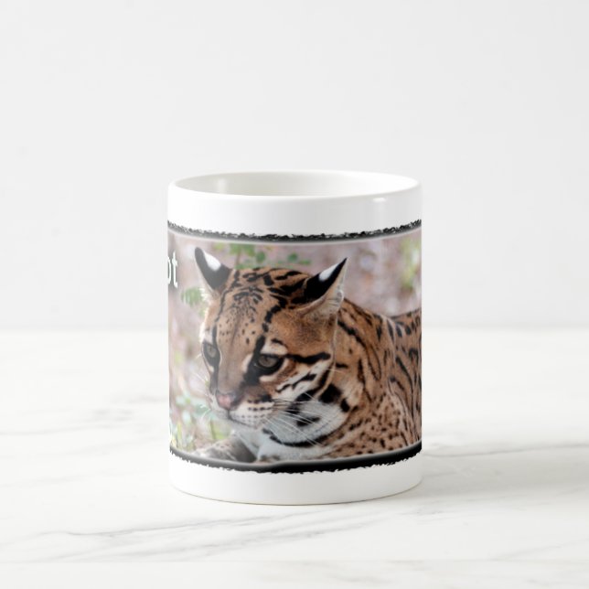 Taza del Ocelot (Centro)