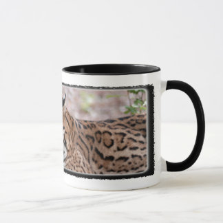TAZA del Ocelot 01