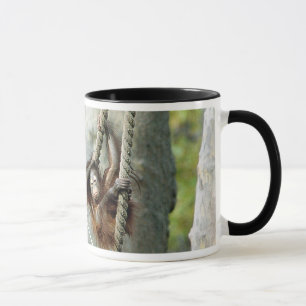 Taza del orangután #1/Ringer