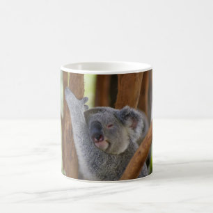 Taza del oso de koala