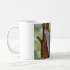Taza del oso de koala