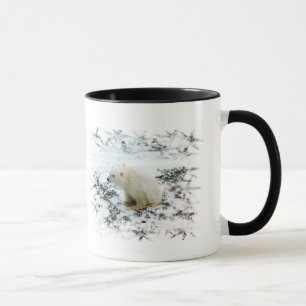 Taza del oso polar del bebé