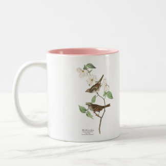 Taza del pájaro de Audubon, gorrión