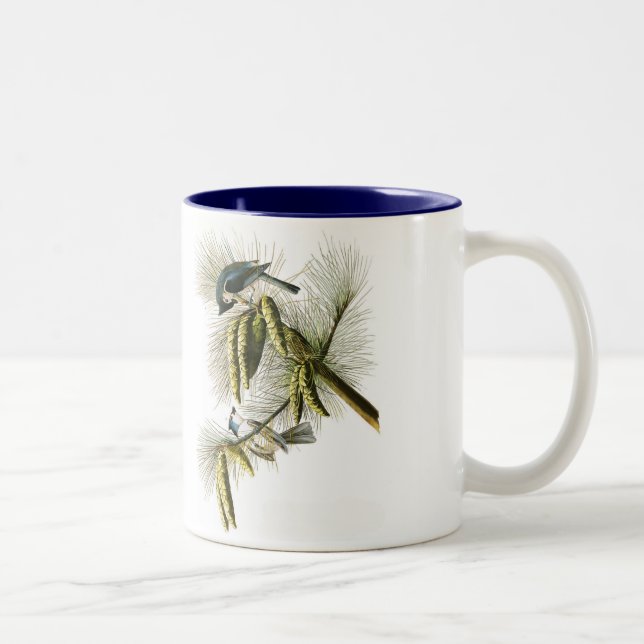 Taza del pájaro de Audubon, Titmouse copetudo, 15 (Derecha)