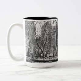 Taza del parque de Bryant