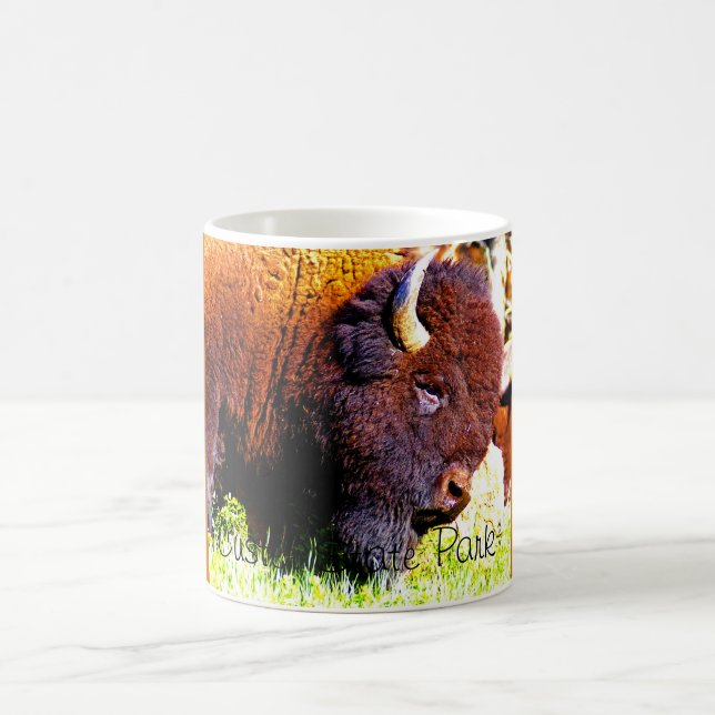 Taza del parque de estado de Custer (Centro)