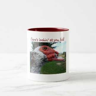 Taza del pato de Muscovy
