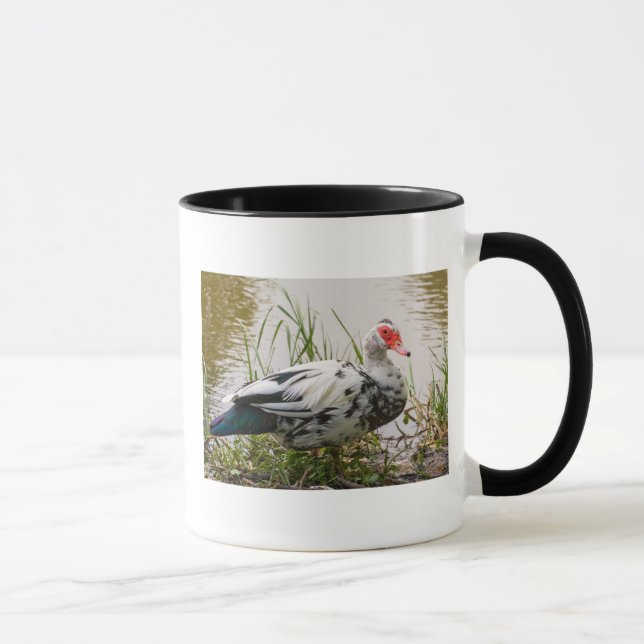 Taza del pato de Muscovy (Derecha)