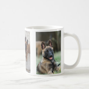 Taza del perrito de Malinois del belga