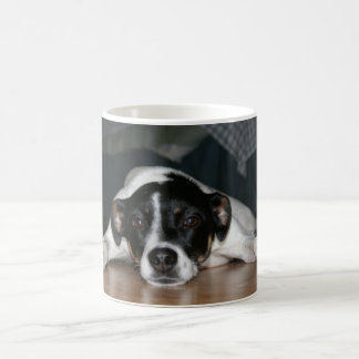 Taza del perro de Terrier de rata de "Molli"