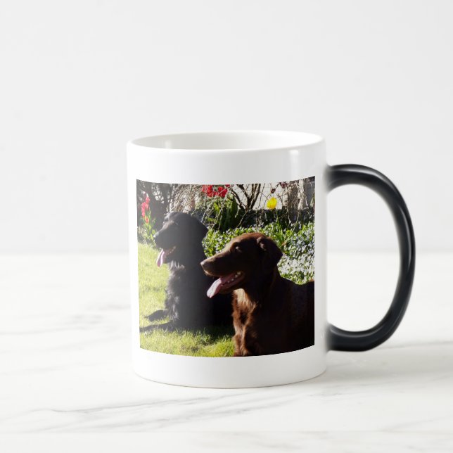 Taza del perro perdiguero de Flatcoated (Derecha)