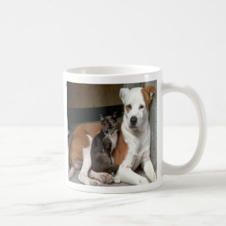 Taza del perro y del gato