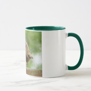 Taza del petirrojo del bebé