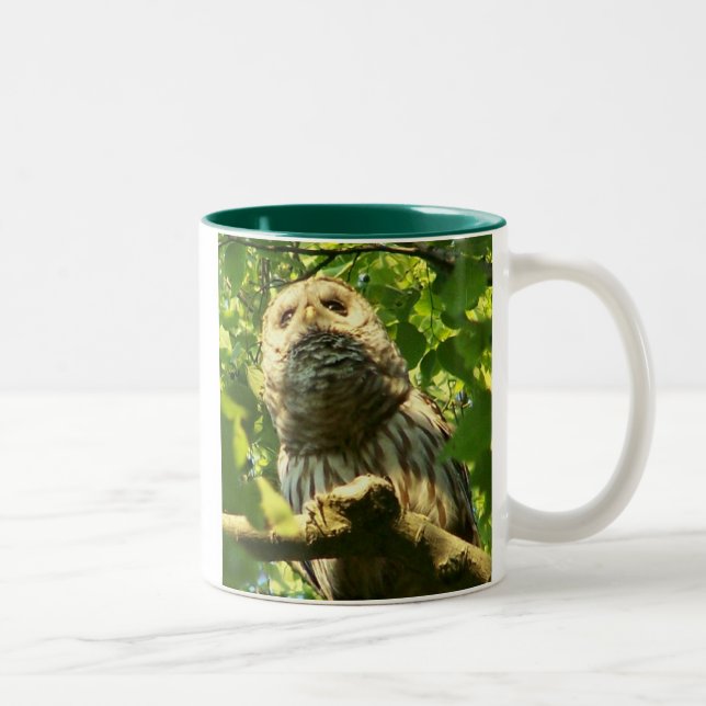 Taza del pitido de Java (Derecha)