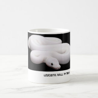 Taza del pitón de la bola de Leucistic # 2