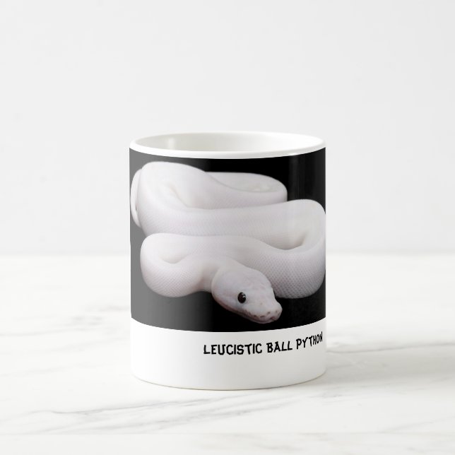 Taza del pitón de la bola de Leucistic # 2 (Centro)