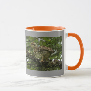 Taza del polluelo del urogallo Spruce