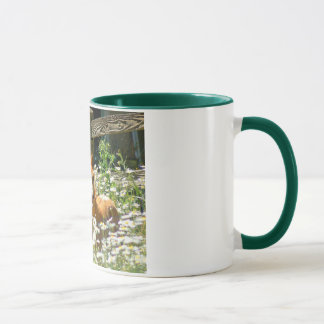 Taza del potro galés