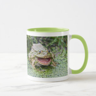 Taza del Príncipe Rana