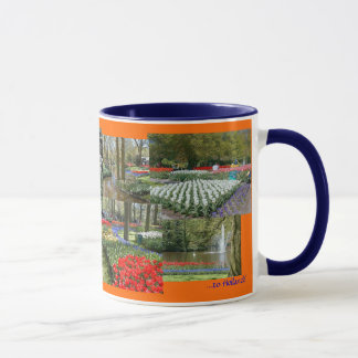 Taza del recuerdo de Holanda (Keukenhof Gardens/15
