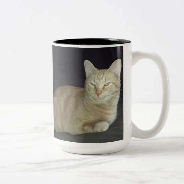 Taza del retrato del gato de Óscar (Derecha)