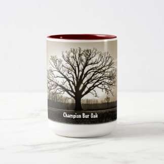 Taza del roble de la oficina del campeón