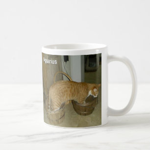 Taza del Rótulo del zodiaco del gato del acuario
