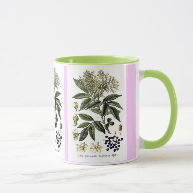 Taza del Sambucus de la baya del saúco (Derecha)