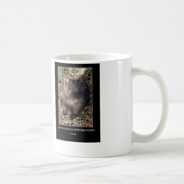 Taza del Schipperke (Derecha)