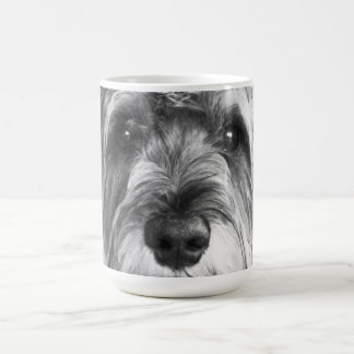 Taza del Schnauzer