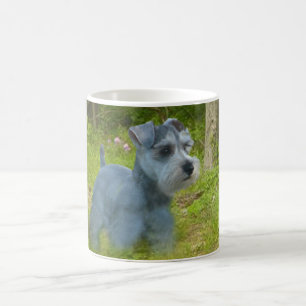Taza del Schnauzer miniatura