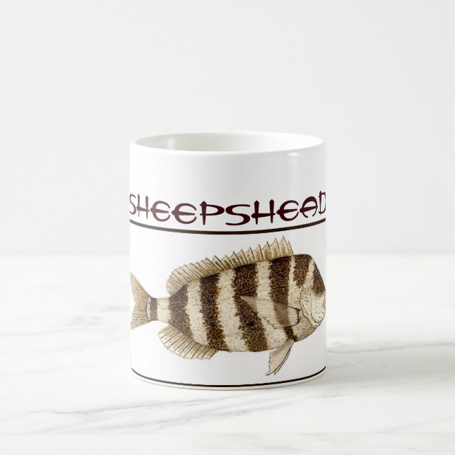 Taza del Sheepshead (Centro)