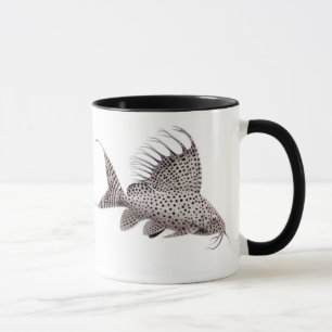Taza del siluro del eupterus de Synodontis