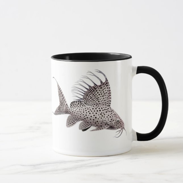 Taza del siluro del eupterus de Synodontis (Derecha)