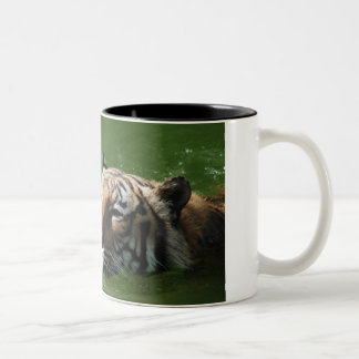 Taza del tigre de la natación