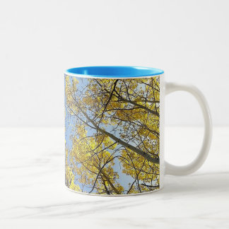 Taza del tono del árbol dos de Aspen
