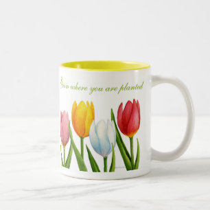 Taza del tulipán de la primavera