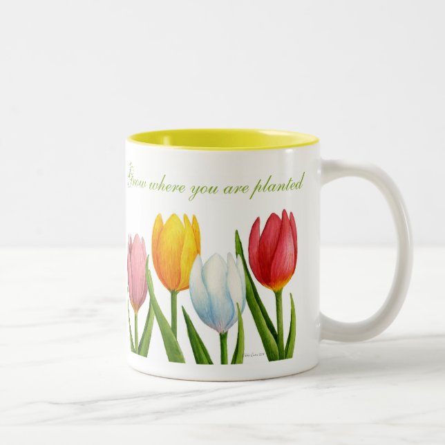 Taza del tulipán de la primavera (Derecha)
