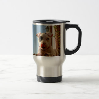 taza del viaje del perro