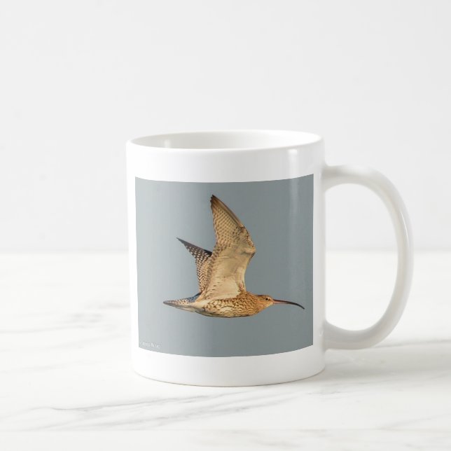 Taza del zarapito (Derecha)